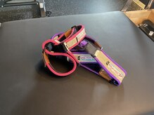 スターライトフィットネス(Starlight Fitness)/加圧トレーニングベルト