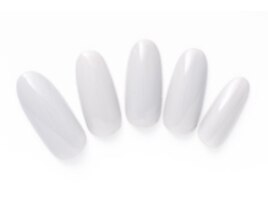 Winter collection冬の新カラー