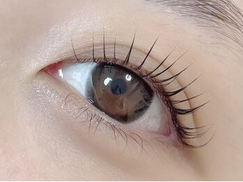 プリュムアイラッシュ(plume eyelash)の写真/根本からしっかり立ち上げパッチリeyeに♪似合わせまつ毛パーマで自分史上最高の可愛い目元に★