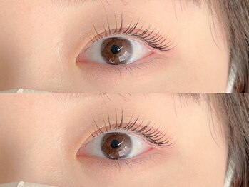 ネリネ 天神(nerine)/根本立ち上げカール♪マツパ