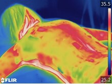 美人バスト 静岡店/育乳を妨げる肩こりも改善