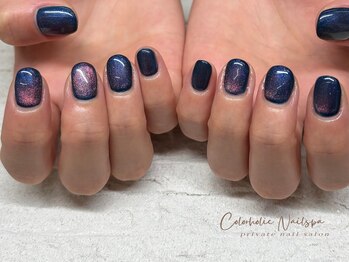 カラーホリック ネイルスパ(Colorholic Nailspa)/ワンカラー+マグネット