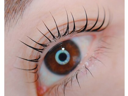 カウズ 武庫之荘(CAWS)の写真