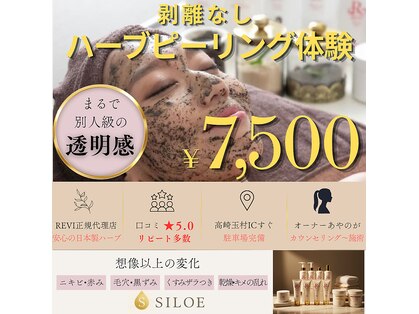シロエルヴィ(SILOE)の写真