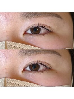 ラフェスタ ビューティー(Lafesta Beauty)/ラッシュリフト