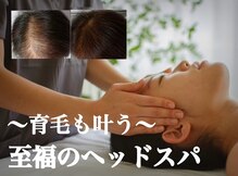 スーパースカルプ 大橋駅前店(Super Scalp)