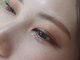 ティンク(Tink)の写真