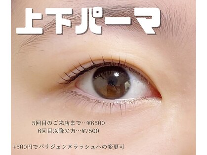 エル(elu.)の写真