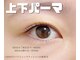エル(elu.)の写真