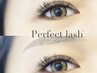 アイスパ付【Perfect lash120束】自まつ毛が抜けるまで外れない技術