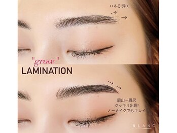 アイラッシュサロン ブラン 住道店(Eyelash Salon Blanc)/毛流れ矯正☆眉パーマ☆