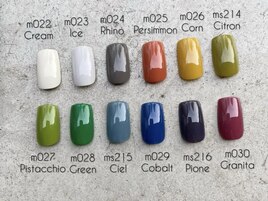 ワンカラーコース3980円