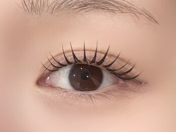 エルレ(ELRe)/パリエク 80本