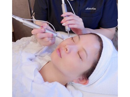 シュシュ(chouchou)の写真