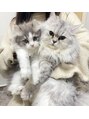 ロザンナ 川越店(ROSANNA)&nbsp;家では猫を飼ってます♪