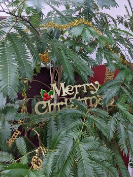 志村接骨院/合歓の木のクリスマスツリー