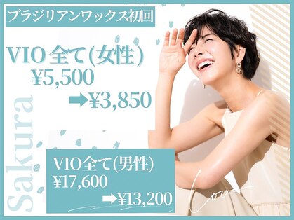 さくらの写真
