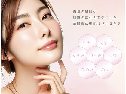 プチボヌール(petit bonheur)の写真