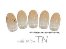 ティーエヌ イオン新潟青山店/4月季節の定額3900円コース