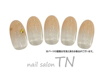 ティーエヌ イオン新潟青山店/4月季節の定額3900円コース