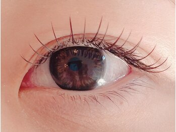 リノン(Rinon)/フラットラッシュ120本