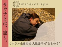 ミネラルスパ バイ アラシノユ(mineral spa by arashi no yu)