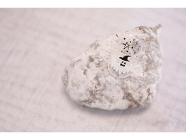 ＊Halloween＊アート＊