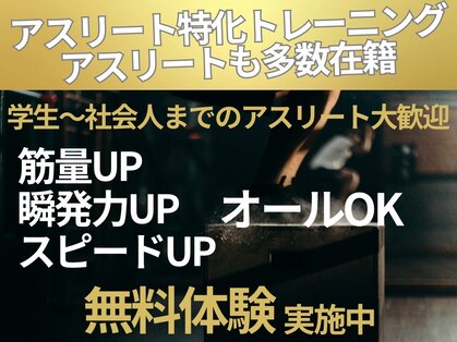 シャッフル(SHUFFLE)の写真