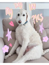 ハチノジネイル&nbsp;HACHI 