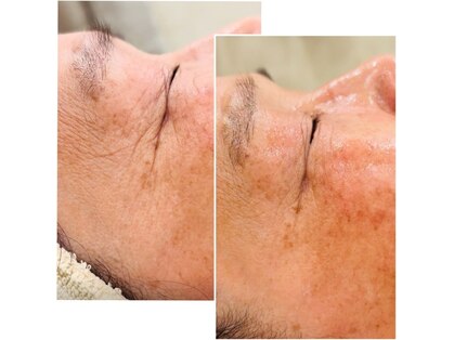 キノトミ(kinotomi)の写真