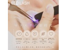 Lumin マツエク・まつげパーマ専門店【ルミン】/LED 持続力1.5~2倍up