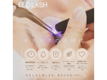Lumin マツエク・まつげパーマ専門店【ルミン】/LED 持続力1.5~2倍up