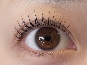 ラシク ベル(Lashiku Belle)/しっかり立ち上げ!