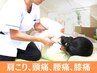 【２回目以降の方限定】肩こり、頭痛、腰痛、膝痛など痛み不調に¥8250