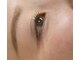 翠の写真