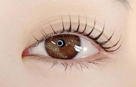 再来　《SNSで話題》　マスカラパーマ(ブラックティント)