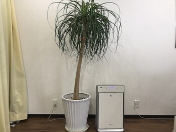 ライズ整体院/感染対策も徹底しています(^^♪