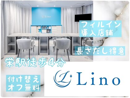 リノ(Lino)の写真
