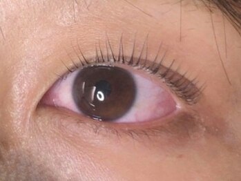 ウルカ アイラッシュ(uruka EYELASH)/ラッシュリフト[まつ毛パーマ]