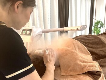 パピヨン(papillon)の写真/【毛穴すっきりコース】あなたの肌トラブルケアの原因を突き止め毛穴の大掃除！合ったお手入れ方法をご提案