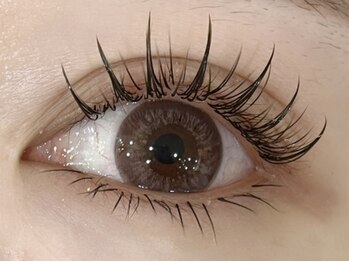 ブリランテ/フラットラッシュ120本