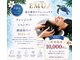 ティエドゥール エム(tiedeur × EMU)の写真