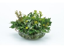 ヨサパーク ル スリール 松戸西口店(YOSA PARK le sourire)/貴重な医薬部外品ハーブを使用！