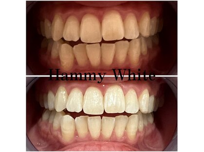 ハミーホワイト(Hammy White)の写真