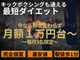 シャッフル(SHUFFLE)の写真