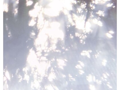 ナンバー13 アイラッシュ(no.13 eyelash)の写真