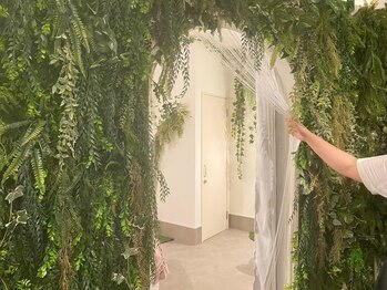 ヌマール バクの森/お部屋の中