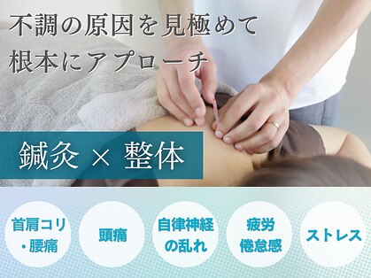 カーム(calm)の写真