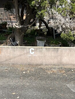 ララ(LALA)/こちらのCに駐車して下さい