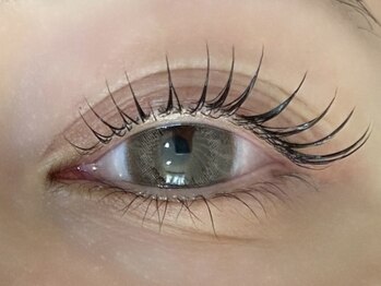 ラズリー MEGAドン・キホーテ成増店(lazley)/ まつげパーマ